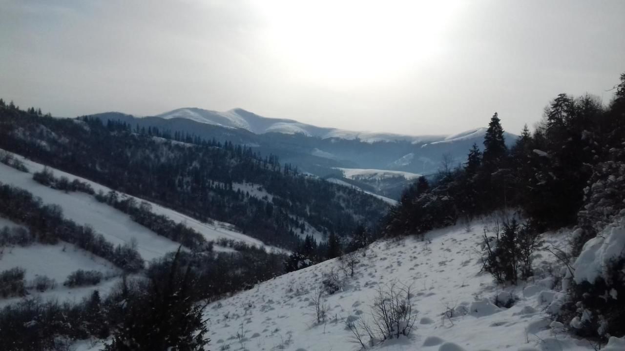 Загородные дома Гостинна хата Гукливый-35